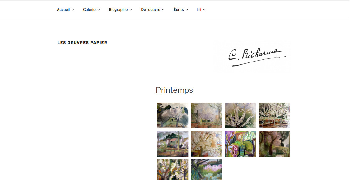 Portfolio site web wordpress - Richarme